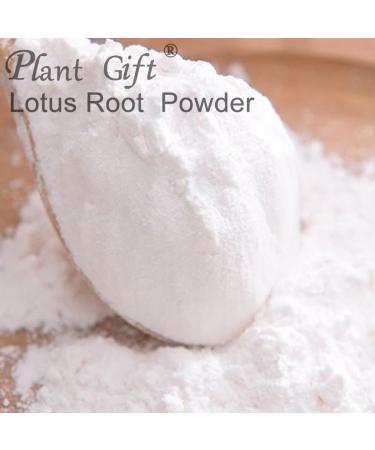 100% Natural Pure Lotus Root Powder 100g/3.52oz pour smoothies shakes p tisseries et boissons | sans conservateurs lyophilis sans sucre ajout  - Buy Online on GoSupps.com
