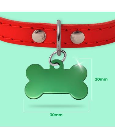 Ibera Gifts - Personalized Bone-Shaped Pendants for Small to Medium Dogs & Cats | Custom Engraved Collars (Green Stars) - Buy Online on GoSupps.com