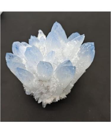 300-800g Rare Beautiful Blue Ghost Phantom Quartz Crystal Cluster Spec raw Gemstone Specimen for Home&Office Decoration fengshui Beautiful FUZEGRDLI (Size : 400-500g) - Buy Online on GoSupps.com