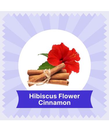 BLUE TEA - Hibiscus Cinnamon Herbal Tea - 36 Tea Bags (Pack of 2) | CAFFEINE FREE | Tangy & Spicy Tea | Gluten Free - Tin Pack - Buy Online on GoSupps.com