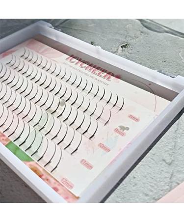 5 in 1 Individual Eyelash Extensions - D Curl Fairy Lashes in 8/9/10/12mm Lengths | Handmade Quality for Stunning Looks - Buy Online on GoSupps.com