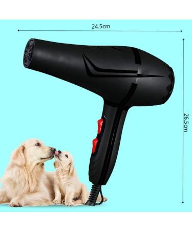 Professional Tourmaline Hair Dryer Salon Negative Ionic Hair Blow Dryer Dc Motor Light Weight Low Noise Hair Dryers - Buy Online on GoSupps.com