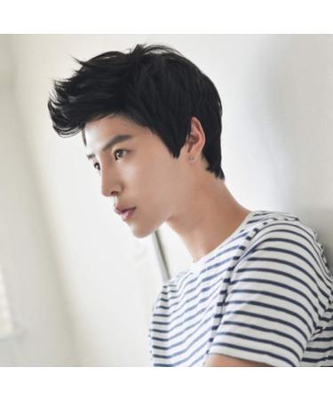 TIREOW Fashion Short Wigs for Men - Stylish Brown & Black Cool Wigs for a Handsome Look - Buy Online on GoSupps.com