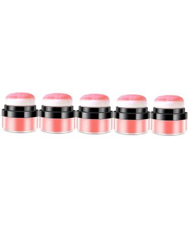 FOMIYES 5pcs Oil Control Cushion Blush Matte Blush Shimmer Blush Powder Blush Loose Blush for Cheeks Plastic