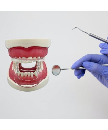 Fopytu Dental Mouth Opener - 5 Pcs Clear Orthodontic Lip Cheek Retractor Expander Accessories for Front Teeth | International Shipping Available - Buy Online on GoSupps.com