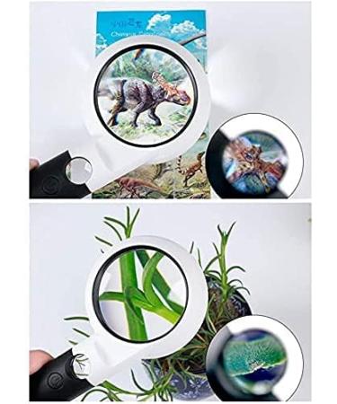 Magnifying Glass 5X 20X Handheld Illumination Magnifier with 11 LED Light HD Lens Magnifier - Buy Online on GoSupps.com
