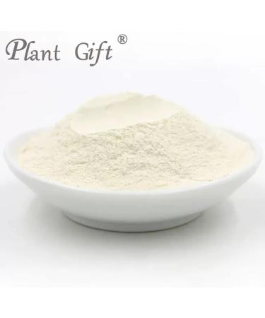 Plant Gift 100% Pure Onion Powder 100G/3.25oz Non-GMO Powder No Filler No additives Natural Onion Flour Great Flavor for Drinks Adds Flavor and Taste Baking Ingredients 2UK-PO0084 - Buy Online on GoSupps.com