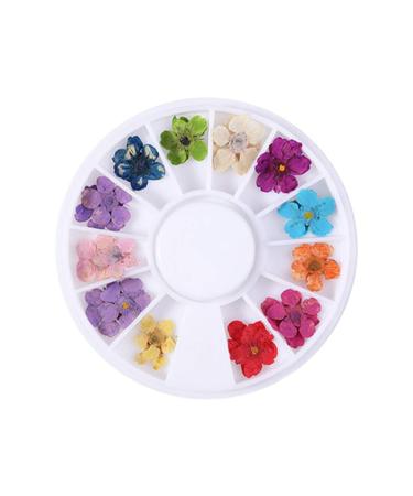 Vzdsddef Sunflower Nail Petals Dry Dry Flower Daffodil Star Flower Five Small Nail AcA281 One Size A