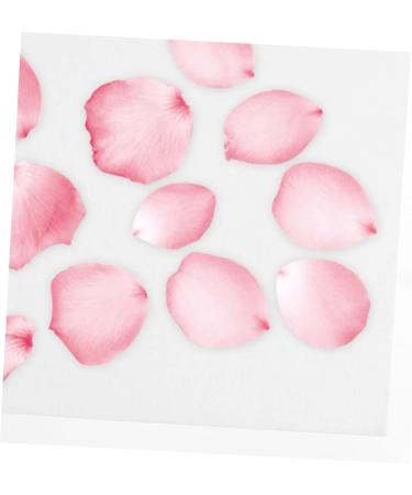 FRCOLOR Dried Flower Embossed Paper Preservation Kit for Oily Skin - 12 pcs Book Press Blotting Paper Set with Herbarium Perforation - White (Pack of 2) - Buy Online on GoSupps.com