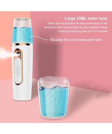 Dajidafu Mist Face Sprayer Diffuser USB Rechargeable Facial Mister Nebulizer Beauty Portable Atomizer Handheld Electric Steamer Green - Buy Online on GoSupps.com
