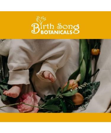 Birthing Song Botanicals Antiseptic Wound Recovery Spray - 2oz Bottle - Buy Online on GoSupps.com