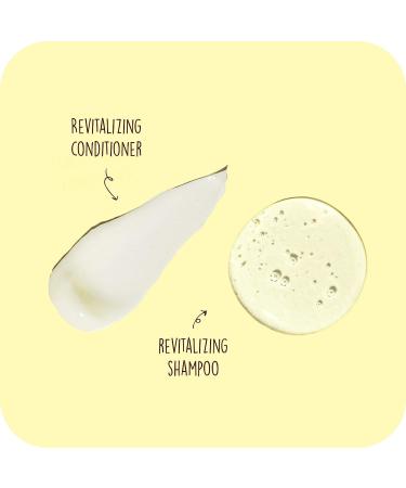 Sun Bum Revitalizing Shampoo & Conditioner - Vegan Cruelty-Free Hydrating Hair Care | 10 oz - Buy Online on GoSupps.com