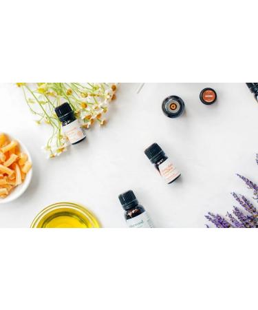 Aromatics International Premium Organic Ylang Ylang Essential Oil 5ml | 100% Pure Essential Oil for Diffusion Aromatherapy & Wellness Use Ylang Ylang 0.17 Fl Oz (Pack of 1) - Buy Online on GoSupps.com