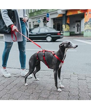 HUNTER Vario Rapid Safety Harness - Adjustable 38-52 cm | Red | International Shipping Available - Buy Online on GoSupps.com