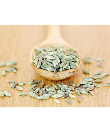 Natco Fennel Seeds | 100G | Whole Fennel Seeds | Whole Indian Spice | Herbs & Spices | Use for Mouth Freshener Or Flavour | Indian Origin (Pack of 2) - Buy Online on GoSupps.com