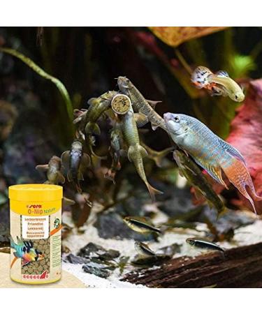 Sera O-Nip Nature 250 ml - 7% Krill Adhesive Tablets for Healthy Aquarium Fish Feed - High Usability Fewer Algae Tablets - International Shipping Available - Buy Online on GoSupps.com