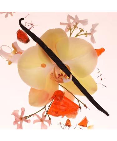 Koec Dragon Fruit Perfume 50ml Body & Hair Fragrance Mist Women Men Eau De Toilette Spray Perfume Body Mist Spray Travel Size (Dragon Fruit) (Rose Lychee) - Buy Online on GoSupps.com