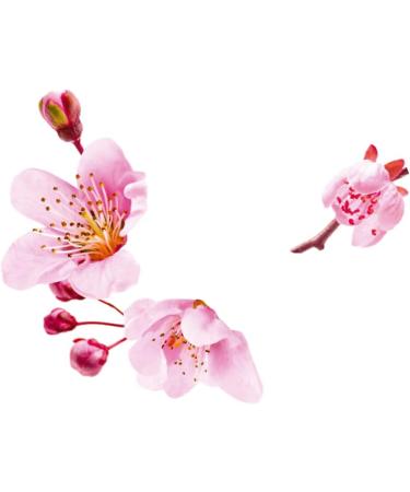 Guhl Ikebana Cosmetics BV Guhl Rich Nutrition Shampoo With Baobab Oil For Overstressed Brittle and Damaged Hair 250 Milliliters - Buy Online on GoSupps.com