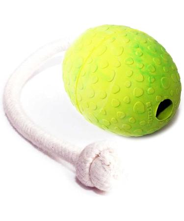 Buy Wolters Mint Ostrich Egg Natural Rubber | M Size 80x60mm with Rope Perfect for Pets & Crafts - Buy Online on GoSupps.com