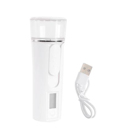 CALLARON 1 Pi ce Pulv risateur Facial Nano Portable Hydratant pour S che Mini de Voyage pour Bureau et Loisirs