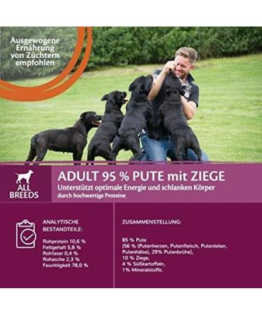 Wellness Core 95% Turkey & Goat Wet Dog Food - Grain Free High Meat Content 6 x 400g Pack - Buy Online on GoSupps.com