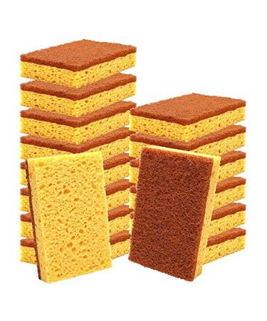 Petersty 16 Pack Biodegradable and Compostable Sponges Scouring Pad Palm Fiber -Friendly Sponge for Kitchen Dishes Cleaning