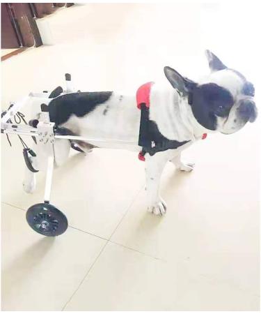 Dog/Doggie/Puppy/Cat/Kitten/Pet Dog Wheelchair Back Legs Light Weight Mobility Dog Wheelchair Hind Legs Rehabilitation Sports & Outdoors Adjustable Dog Bicycle Trailers Small - Buy Online on GoSupps.com