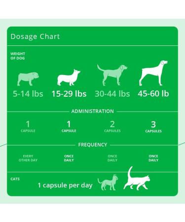 Eicosa3FF SnipCaps Omega 3 Free Fatty Acid Capsules for Dogs and Cats - Small 120 ct - Buy Online on GoSupps.com