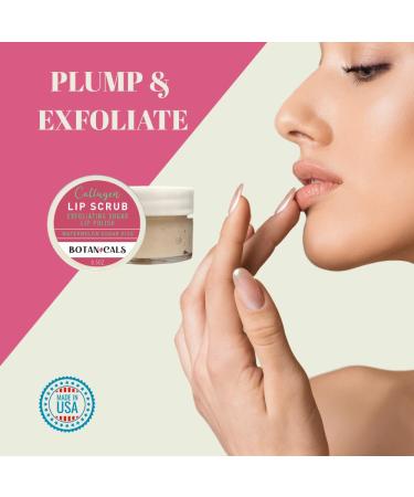 Lip Exfoliator Scrub and Moisturizer Watermelon Sugar Kiss Fruit Flavor Sugar Lip Scrub for Dark Lips Dryness and Overnight Hydration For Men & Women Made in the USA Botanicals by W.D.D. - Buy Online on GoSupps.com