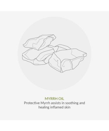 Green People Edelweiss SPF15 Sun Cream & After Sun Bundle 2 x 200ml | Natural Organic Sunscreen with Tan Accelerator | Sensitive Skin | Non Comedogenic Non Greasy | Reef Safe Cruelty Free 200 g (Pack of 2) - Buy Online on GoSupps.com