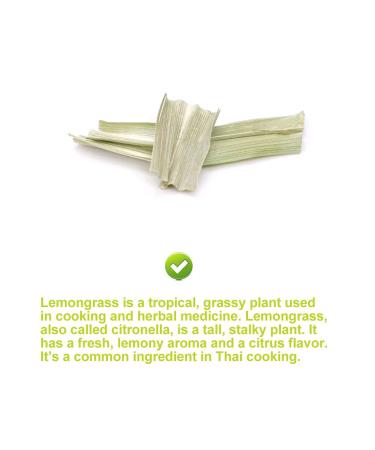 Buy PlantGift Dried Lemongrass Tea Figs - Premium Quality International Shipping - Buy Online on GoSupps.com