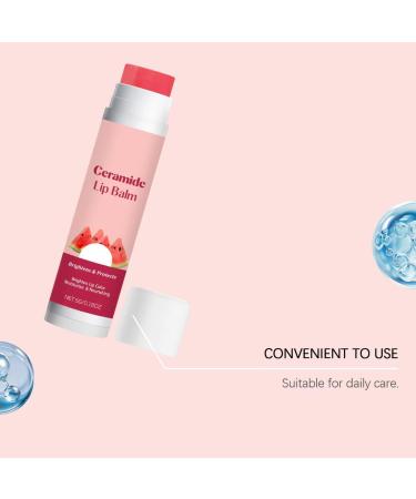  Sgjwyc Niacinamide Watermelon Tinted Lip Balm - Watermelon Tinted Lip Balm - Moisturizing Lip Balm to Moisturize and Nourish Lips - Lightweight and Non-Greasy - 1 Piece - Buy Online on GoSupps.com