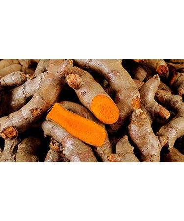 Indigo Herbs Turmeric tincture 100 ml - Buy Online on GoSupps.com