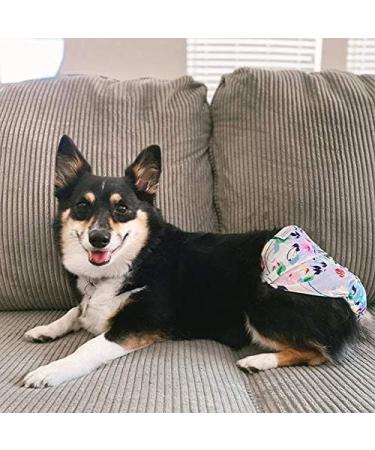 Cutebone 3-Pack Washable Dog Diapers for Women | Waterproof Puppy Pants | Valentine's Day Rose Collection | D14L-DE 1#Blumen (51-68.5cm) - Buy Online on GoSupps.com