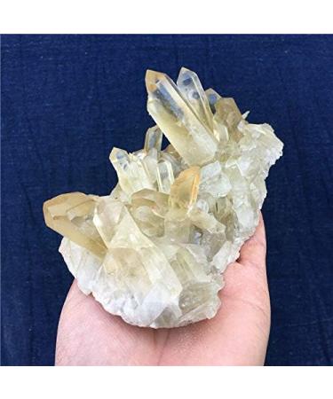 1.34LB Natural Citrine Quartz Specimen D2230 Raw Stones and Minerals Stone Mineral Specimen - Buy Online on GoSupps.com