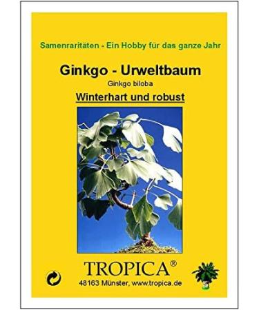 TROPICA - Ginkgo biloba (Ginkgo biloba) - 4 Seeds - Cold-Resistant - Buy Online on GoSupps.com