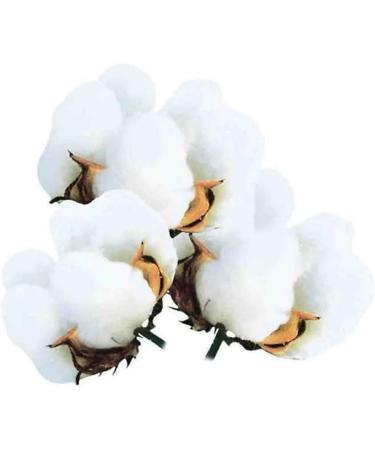 Hearing protection Earplug Earplugs Anti-noise Sleep Snoring Sound Insulation Student Foam Sleeping Sleep Learning Net Red Reduce noise Medium - Buy Online on GoSupps.com