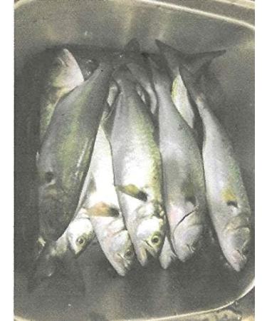 PremierAirCovers - Steel 100# Test Surf Fishing Tackle Rig for Saltwater - Buy Online on GoSupps.com