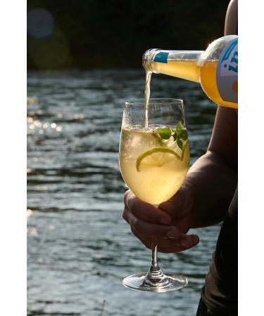 Buy Inge Ginger Syrup - Handmade Bavarian Fruit Ginger Syrup with Natural Spiciness | International Shipping Available - Buy Online on GoSupps.com