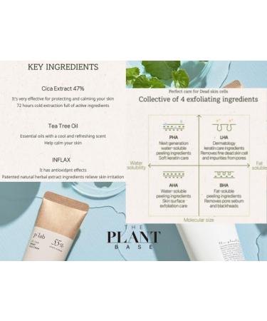 Buy THE PLANT BASE AC Clear Cica Cleansing Foam 120ml - Acne Care with Centella Asiatica | Korean Skincare | AHA BHA PHA LHA - Buy Online on GoSupps.com