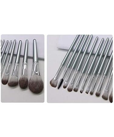 Panysilioer 14 Piece Makeup Brush Set Cosmetic Foundation Powder Blush Lid Shadow Mix Makeup Brush Tool Kit - Buy Online on GoSupps.com