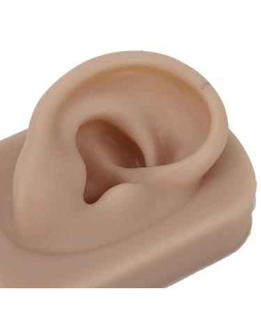 Flexible Fake Human Ear Model - Ideal for Piercing Training and Headphone Display (Brown) - Buy Online on GoSupps.com