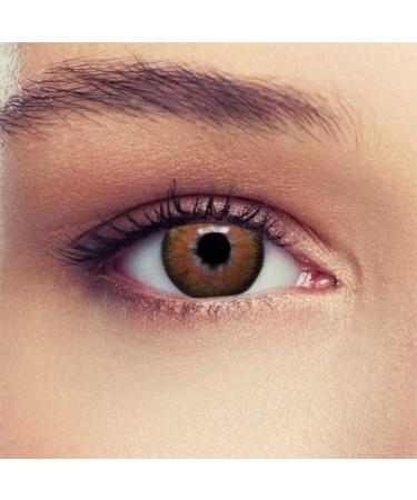 Buy Monthly Brown Contact Lenses - Natural Effect for Dark Eyes 1 Pair (2st) + Free Case -2.50 Strength - Buy Online on GoSupps.com