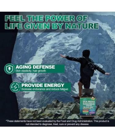 22-in-1 Sea Moss Herbal Supplement with Himalayan Shilajit Ashwagandha Rhodiola Rosea Ginseng 19445mg Veggie Capsules (120 Capsules Sea Moss Capsule) Sea Moss (Pack of 2 120 Caps) 120 Count (Pack of 1) - Buy Online on GoSupps.com