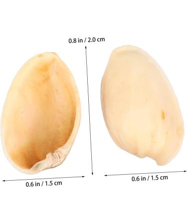 NUOBESTY 1 Pistachio Shell Decorative Painting Diy Materials Kids Crafts Material Child Supplies Artificial As Shown 2X1.2CM - Buy Online on GoSupps.com