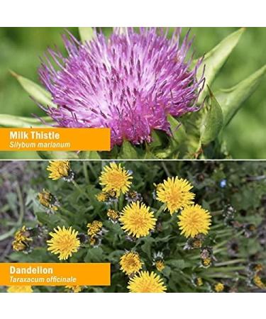 Herb Pharm Liver Health Liquid Herbal Formula for Liver and Gallbladder Support - 4 Ounce 4 Fl Oz (Pack of 1) - Buy Online on GoSupps.com