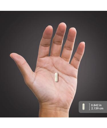 Piping Rock L Glutamine Powder Capsules | 2000 mg | 240 Pills | Supplement for Women & Men | Free Form Amino Acid | Non-GMO Gluten Free - Buy Online on GoSupps.com