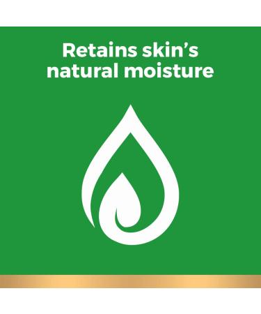 Irish Spring Black Mint Body Wash for Men 20 Fl Oz - Pack of 4 - Buy Online on GoSupps.com