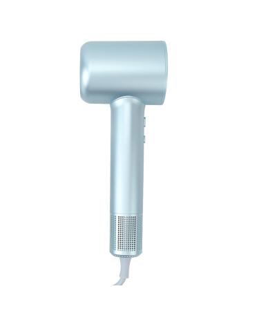 Negative Ion Hair Blower High Speed Silent Quick Drying Ionic Hair Dryer for Home (US Plug 110V)