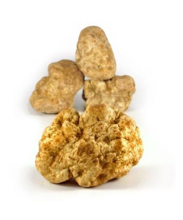Fresh Italian White Winter Truffles from Alba Italy
